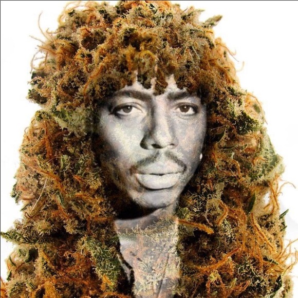 Meet your Posher, Jason - Picture 5 of 9